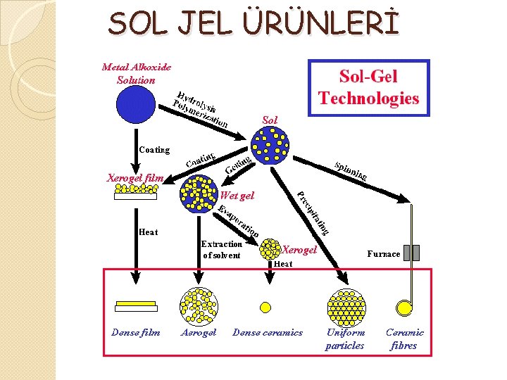 SOL JEL ÜRÜNLERİ 