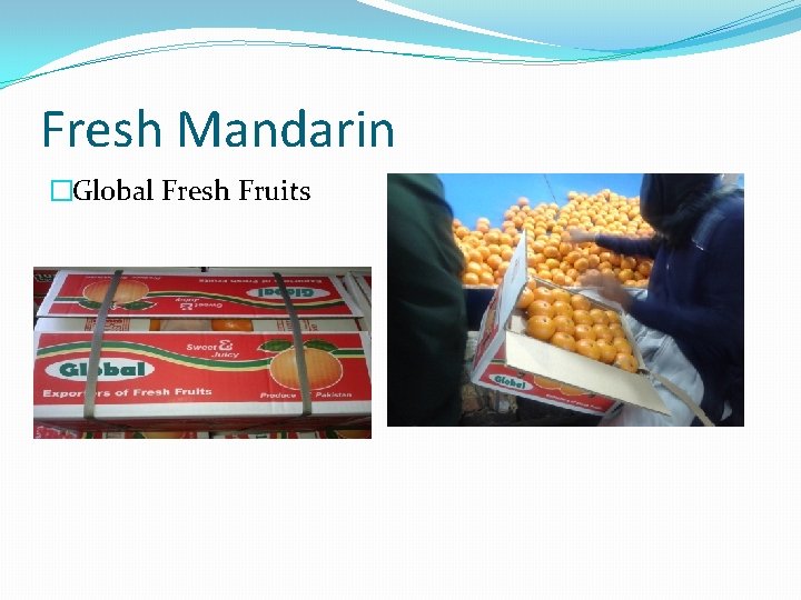 Fresh Mandarin �Global Fresh Fruits 