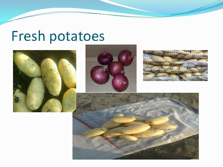 Fresh potatoes 