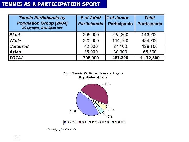 TENNIS AS A PARTICIPATION SPORT 14 