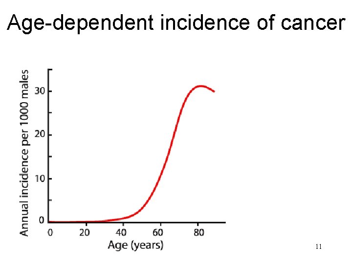 Age-dependent incidence of cancer 11 