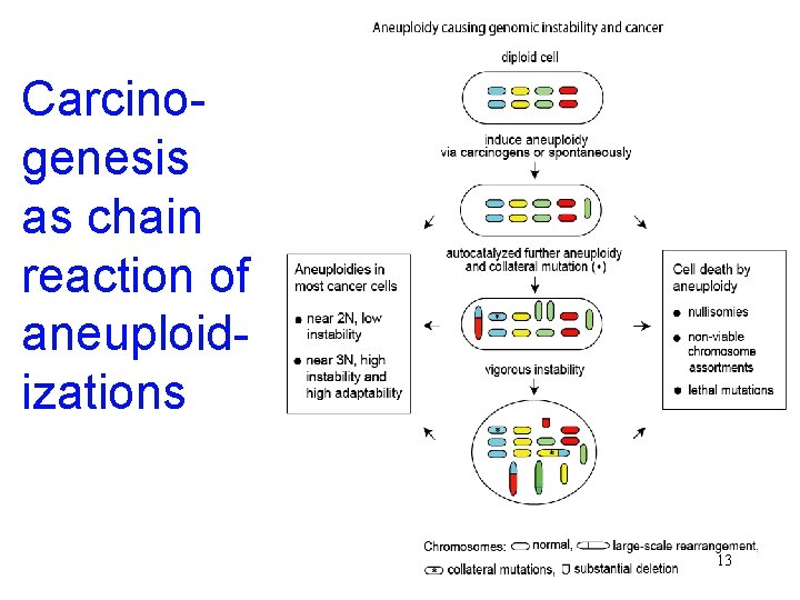 Carcinogenesis as chain reaction of aneuploidizations 13 