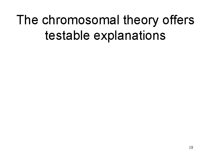 The chromosomal theory offers testable explanations 19 