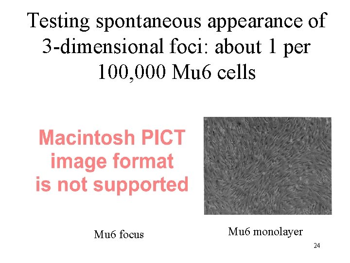 Testing spontaneous appearance of 3 -dimensional foci: about 1 per 100, 000 Mu 6