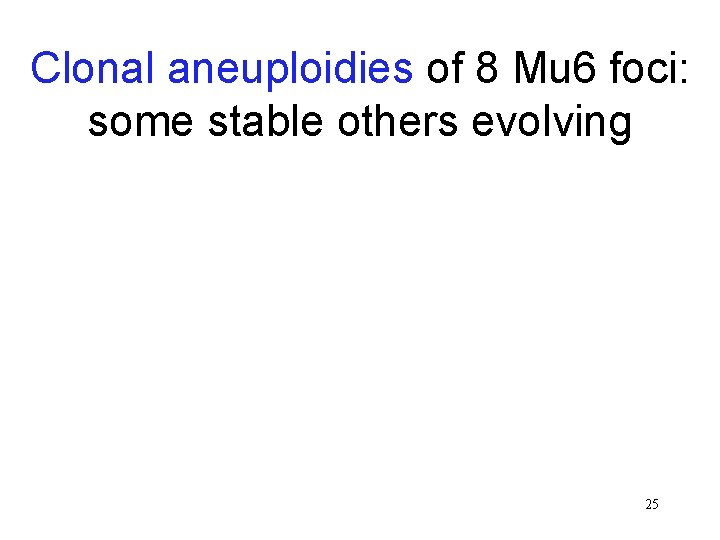 Clonal aneuploidies of 8 Mu 6 foci: some stable others evolving 25 