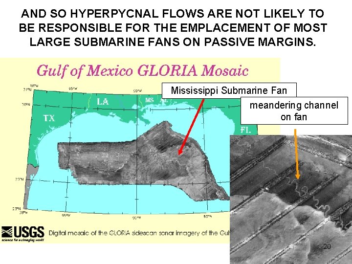 AND SO HYPERPYCNAL FLOWS ARE NOT LIKELY TO BE RESPONSIBLE FOR THE EMPLACEMENT OF