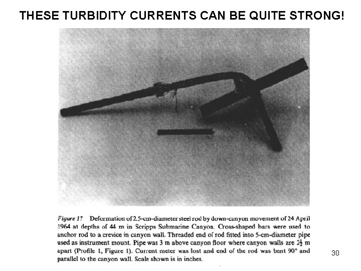 THESE TURBIDITY CURRENTS CAN BE QUITE STRONG! 30 