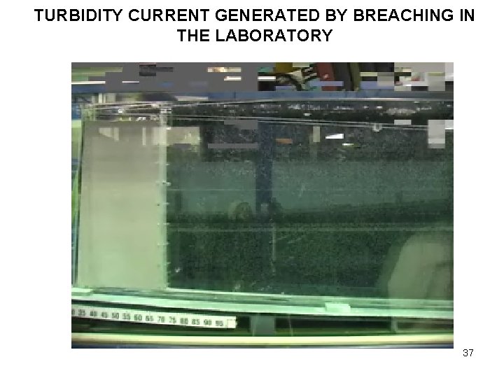 TURBIDITY CURRENT GENERATED BY BREACHING IN THE LABORATORY 37 
