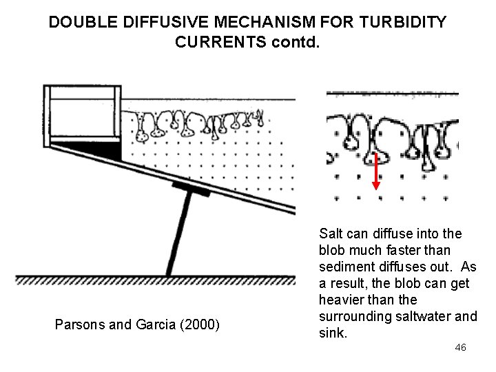 DOUBLE DIFFUSIVE MECHANISM FOR TURBIDITY CURRENTS contd. Parsons and Garcia (2000) Salt can diffuse