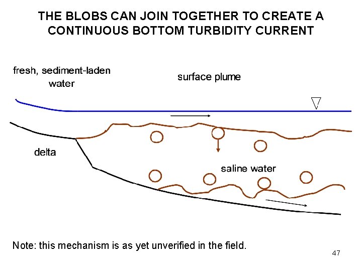 THE BLOBS CAN JOIN TOGETHER TO CREATE A CONTINUOUS BOTTOM TURBIDITY CURRENT Note: this