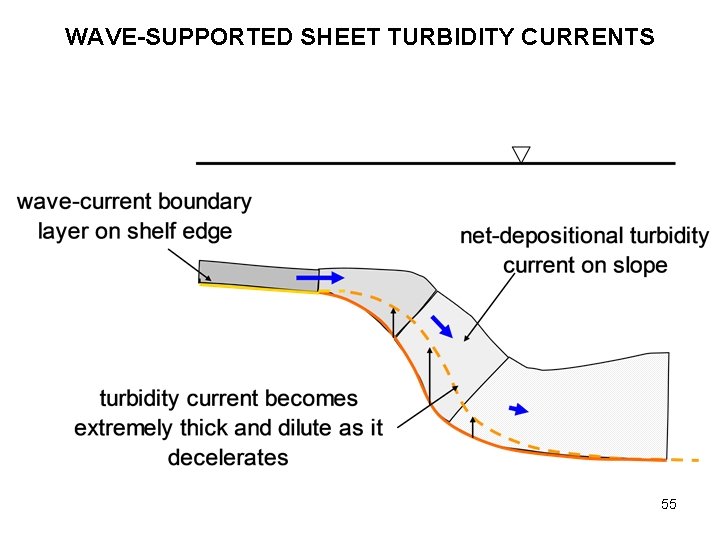 WAVE-SUPPORTED SHEET TURBIDITY CURRENTS 55 