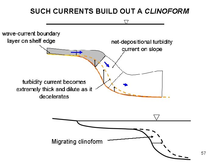 SUCH CURRENTS BUILD OUT A CLINOFORM Migrating clinoform 57 