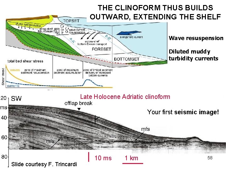 THE CLINOFORM THUS BUILDS OUTWARD, EXTENDING THE SHELF Wave resuspension Diluted muddy turbidity currents