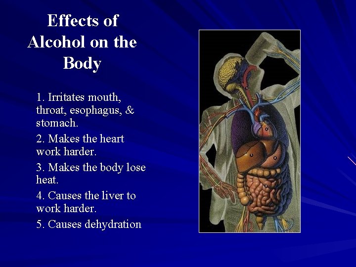 Effects of Alcohol on the Body 1. Irritates mouth, throat, esophagus, & stomach. 2.