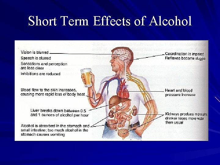 Short Term Effects of Alcohol 