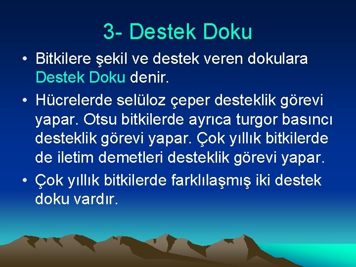 3 - Destek Doku • Bitkilere şekil ve destek veren dokulara Destek Doku denir.