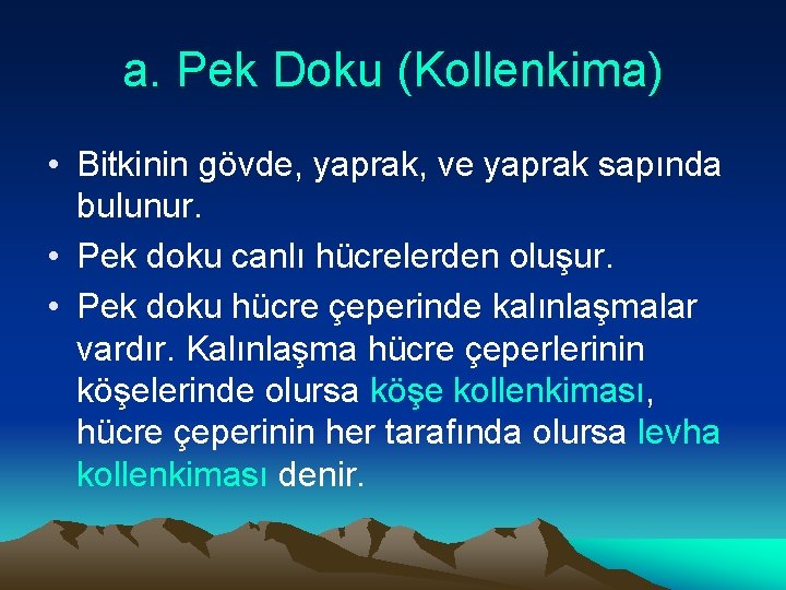 a. Pek Doku (Kollenkima) • Bitkinin gövde, yaprak, ve yaprak sapında bulunur. • Pek