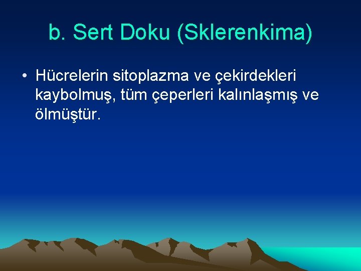 b. Sert Doku (Sklerenkima) • Hücrelerin sitoplazma ve çekirdekleri kaybolmuş, tüm çeperleri kalınlaşmış ve