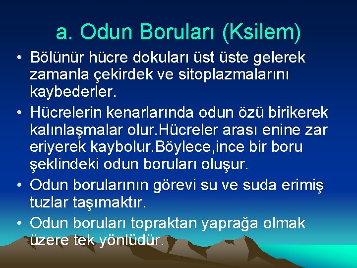 a. Odun Boruları (Ksilem) • Bölünür hücre dokuları üste gelerek zamanla çekirdek ve sitoplazmalarını