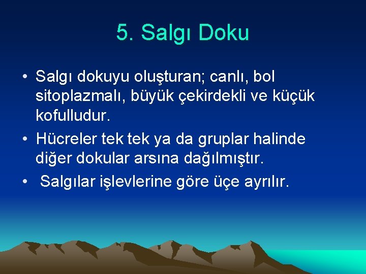 5. Salgı Doku • Salgı dokuyu oluşturan; canlı, bol sitoplazmalı, büyük çekirdekli ve küçük