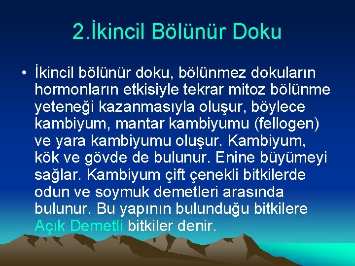 2. İkincil Bölünür Doku • İkincil bölünür doku, bölünmez dokuların hormonların etkisiyle tekrar mitoz