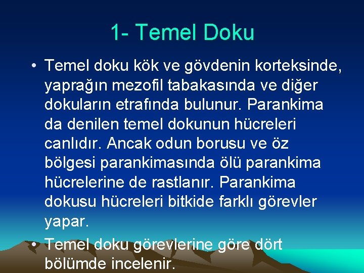 1 - Temel Doku • Temel doku kök ve gövdenin korteksinde, yaprağın mezofil tabakasında