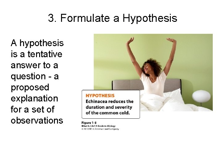 3. Formulate a Hypothesis A hypothesis is a tentative answer to a question -