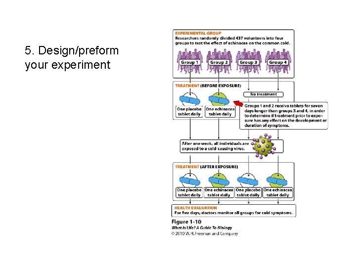 5. Design/preform your experiment 