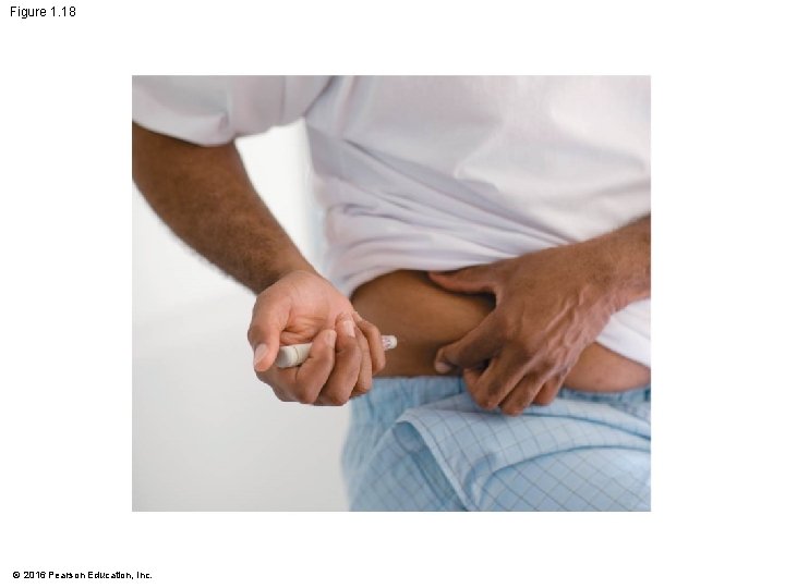 Figure 1. 18 © 2016 Pearson Education, Inc. 