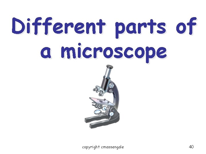 Different parts of a microscope copyright cmassengale 40 