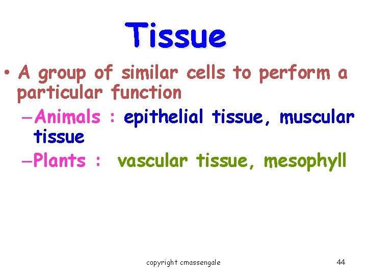 Tissue • A group of similar cells to perform a particular function – Animals