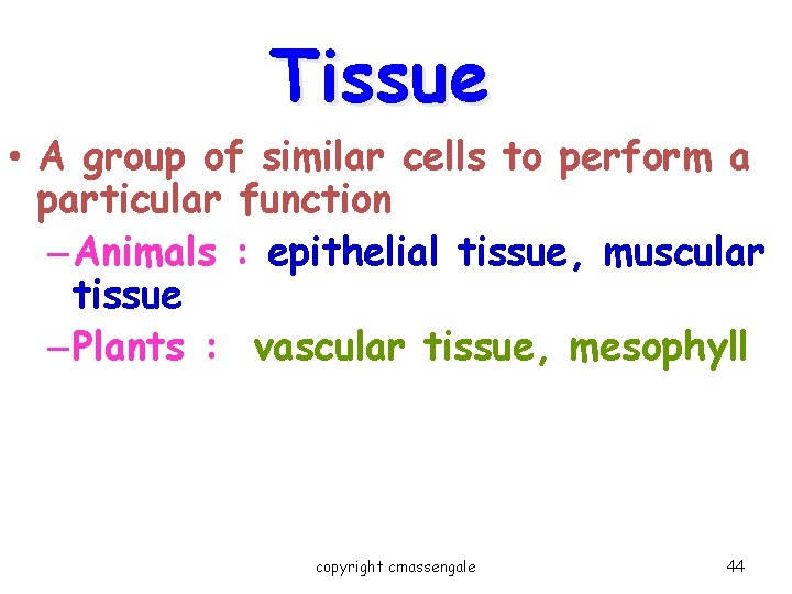 Tissue • A group of similar cells to perform a particular function – Animals Tissue • A group of similar cells to perform a particular function – Animals