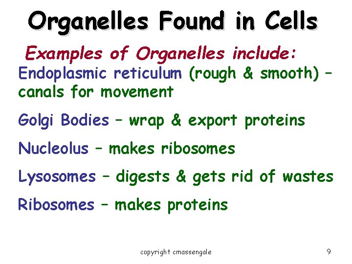 Organelles Found in Cells Examples of Organelles include: Endoplasmic reticulum (rough & smooth) –