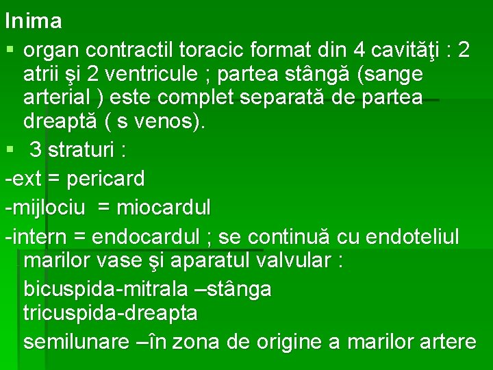 Inima § organ contractil toracic format din 4 cavităţi : 2 atrii şi 2