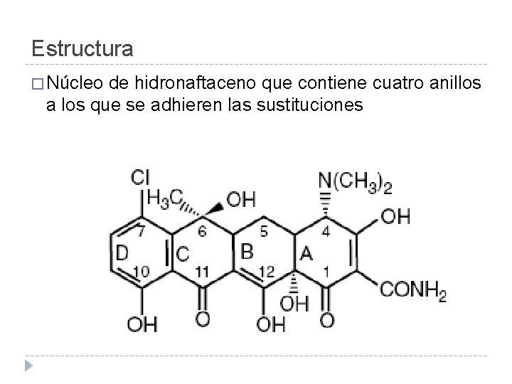 Estructura � Núcleo de hidronaftaceno que contiene cuatro anillos a los que se adhieren