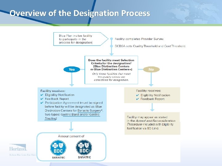 Overview of the Designation Process 