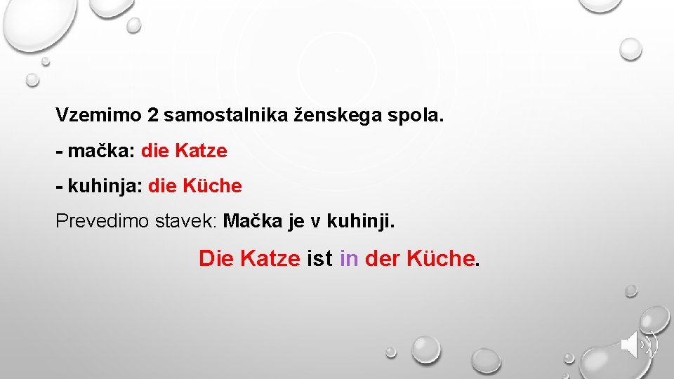 Vzemimo 2 samostalnika ženskega spola. - mačka: die Katze - kuhinja: die Küche Prevedimo