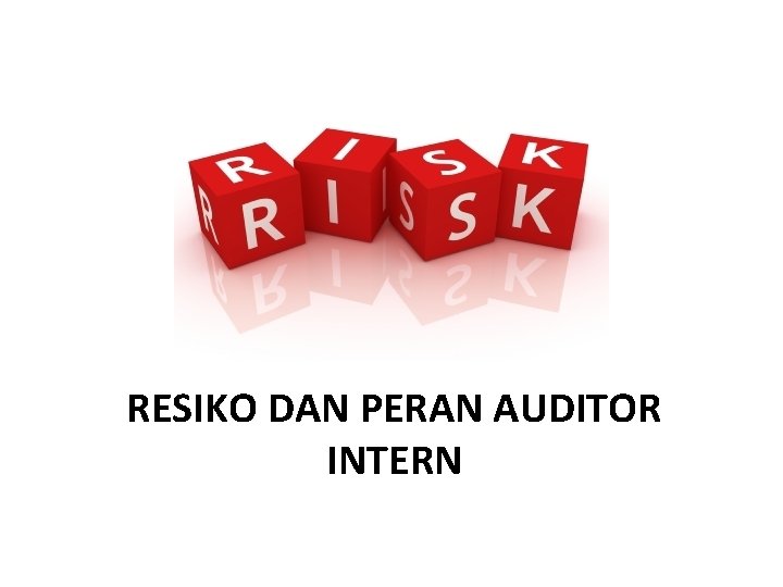 RESIKO DAN PERAN AUDITOR INTERN 