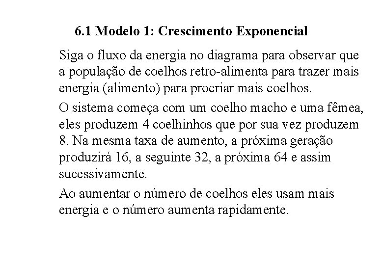 6. 1 Modelo 1: Crescimento Exponencial Siga o fluxo da energia no diagrama para