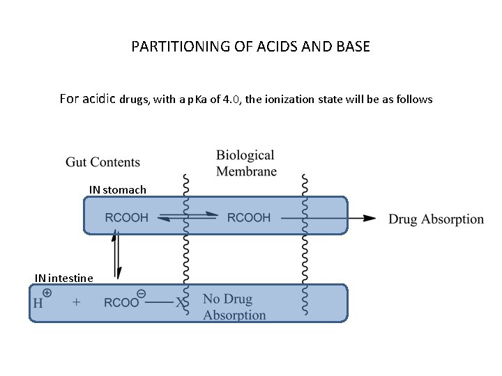 PARTITIONING OF ACIDS AND BASE For acidic drugs, with a p. Ka of 4. PARTITIONING OF ACIDS AND BASE For acidic drugs, with a p. Ka of 4.