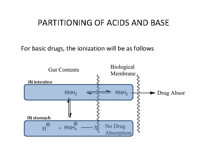 PARTITIONING OF ACIDS AND BASE For basic drugs, the ionization will be as follows PARTITIONING OF ACIDS AND BASE For basic drugs, the ionization will be as follows
