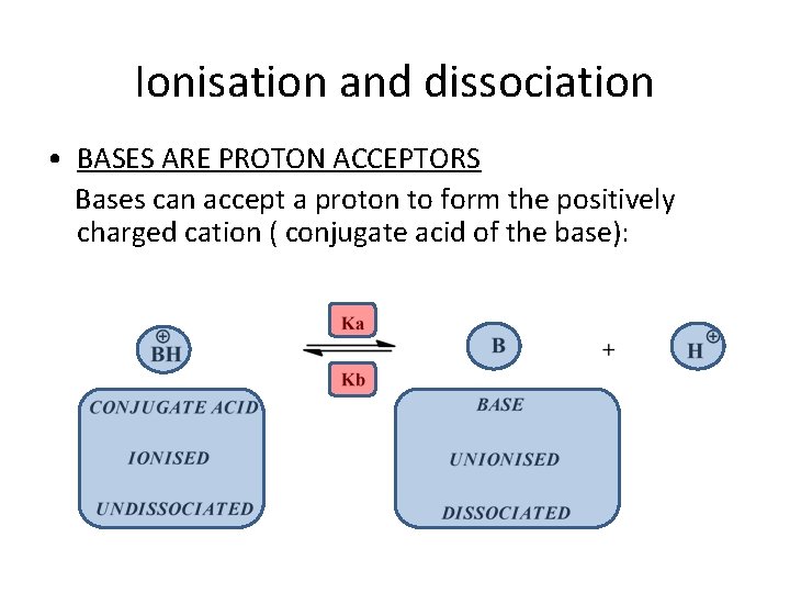 Ionisation and dissociation • BASES ARE PROTON ACCEPTORS Bases can accept a proton to Ionisation and dissociation • BASES ARE PROTON ACCEPTORS Bases can accept a proton to