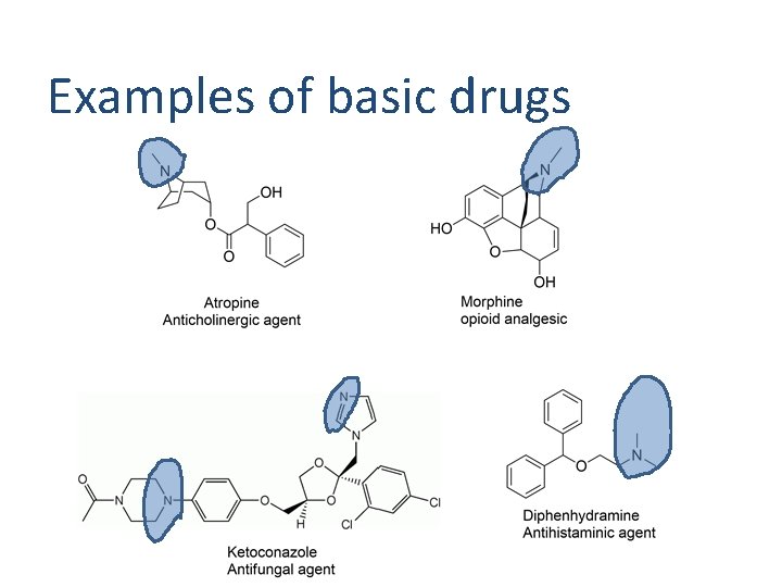 Examples of basic drugs Examples of basic drugs