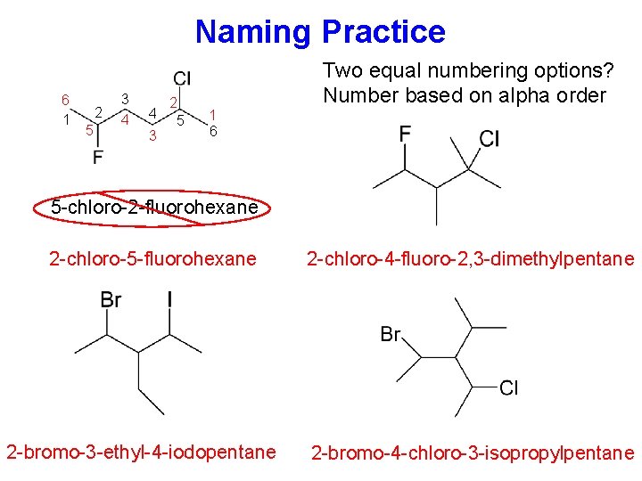 Naming Practice 6 1 2 5 3 4 4 3 2 5 1 6