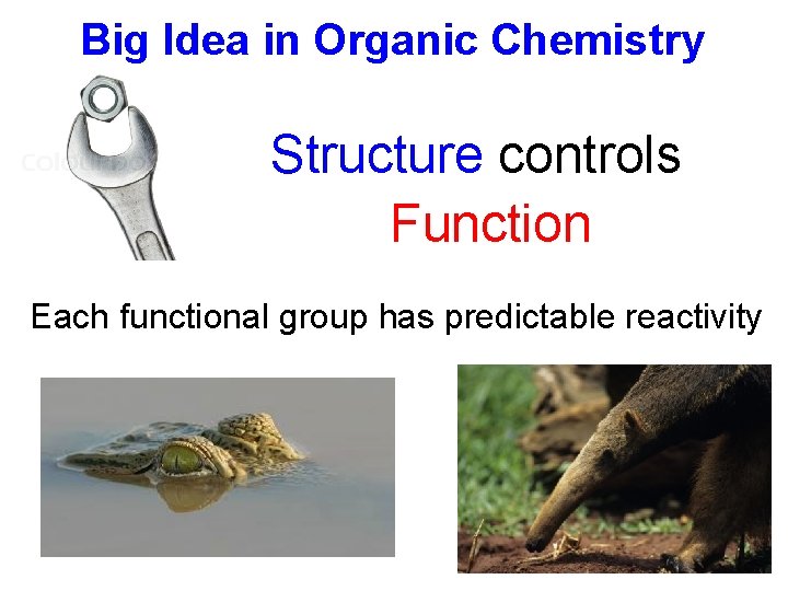 Big Idea in Organic Chemistry Structure controls Function Each functional group has predictable reactivity