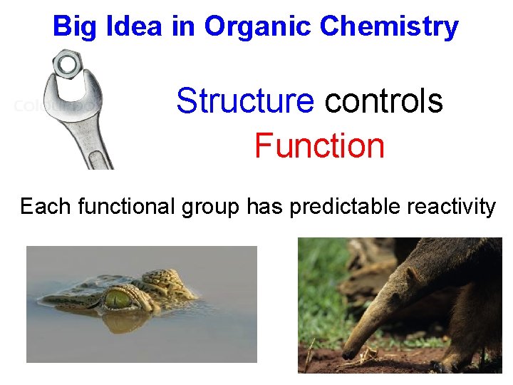 Big Idea in Organic Chemistry Structure controls Function Each functional group has predictable reactivity