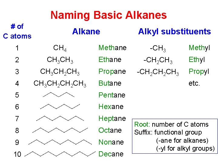 Naming Basic Alkanes # of C atoms Alkane 1 CH 4 2 CH 3