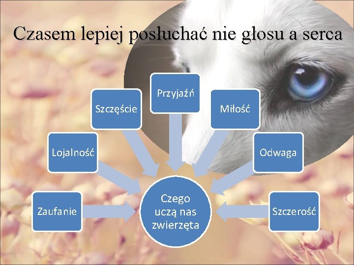 Czasem lepiej posłuchać nie głosu a serca Przyjaźń Szczęście Miłość Lojalność Zaufanie Odwaga Czego