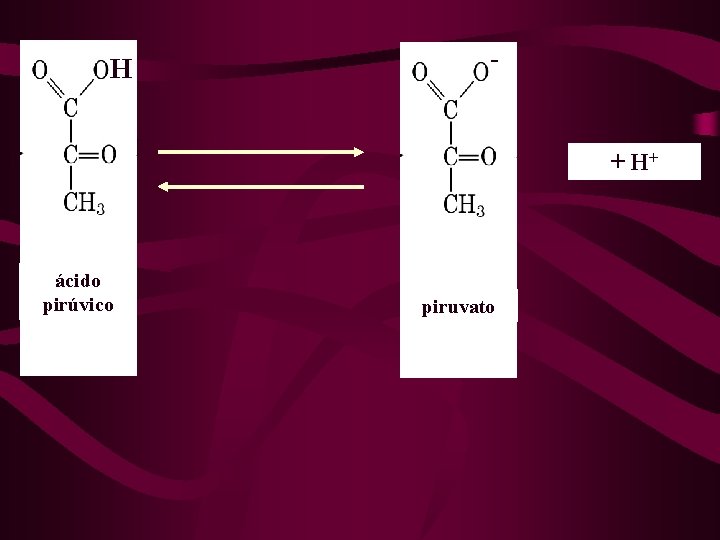 H - H ácido pirúvico + H+ piruvato 