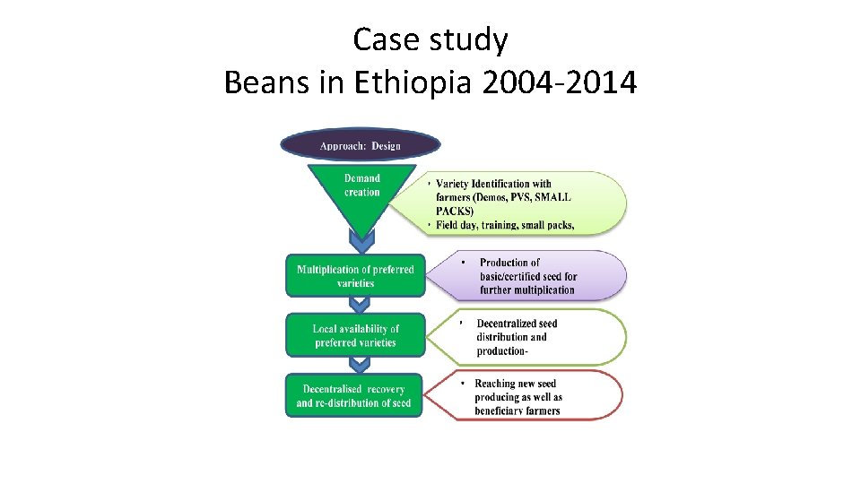 Case study Beans in Ethiopia 2004 -2014 
